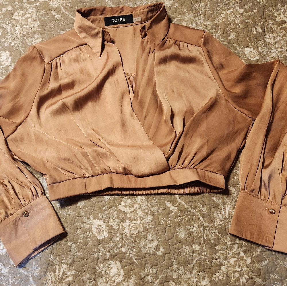 Crop Silky Long Sleeve Blouse